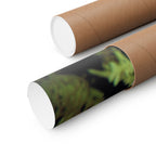 Abstract Green Algae Matte Poster — Botanical Ocean Wall Art (Horizontal)