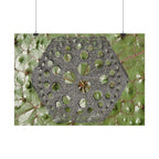 Geometric Hexagon Cutout Art Poster | Horizontal Poster