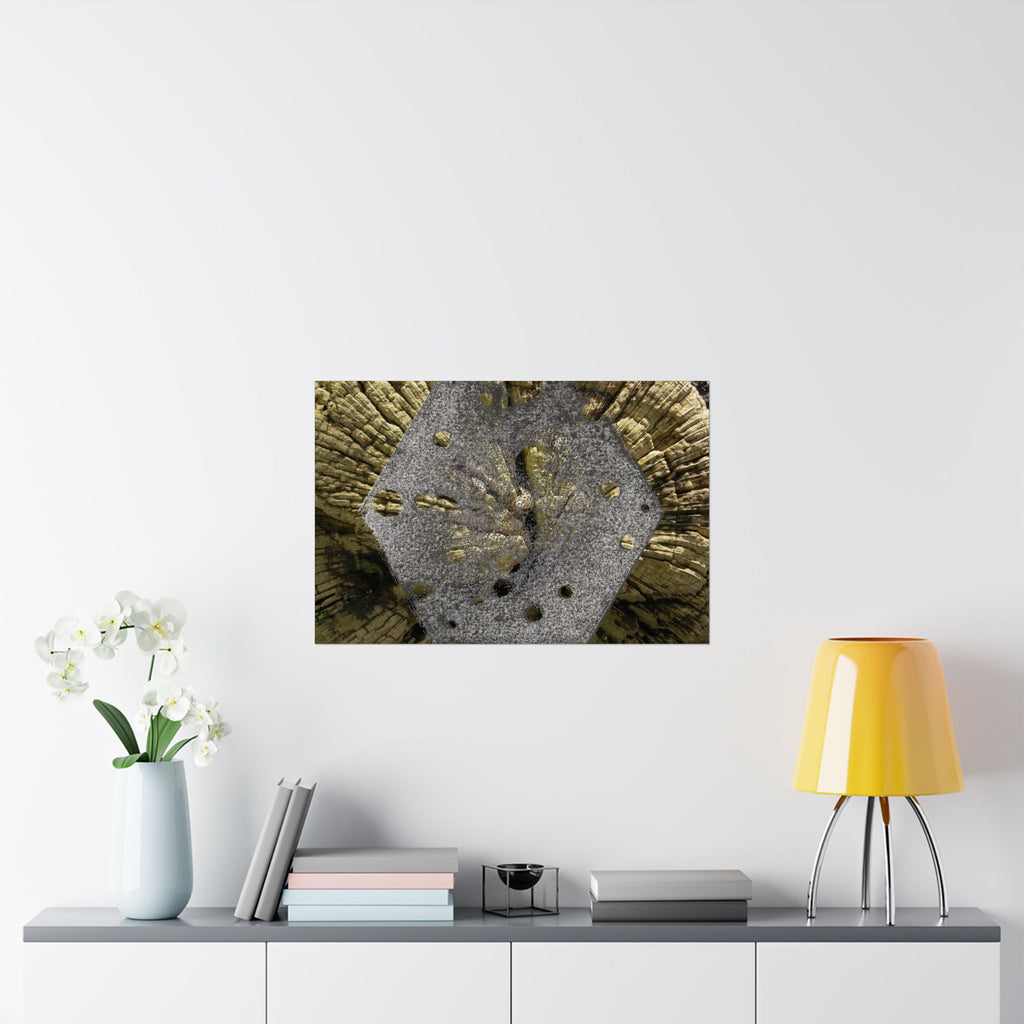 Weathered Tree Cross-Section Poster | Matte Horizontal Wall Art