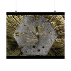 Weathered Tree Cross-Section Poster | Matte Horizontal Wall Art