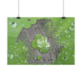 Dewy Leaf Macro Horizontal Posters | Nature Water Droplet Wall Art
