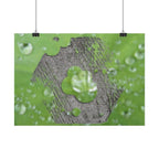 Dewy Leaf Macro Horizontal Posters | Nature Water Droplet Wall Art