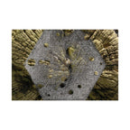 Weathered Tree Cross-Section Poster | Matte Horizontal Wall Art