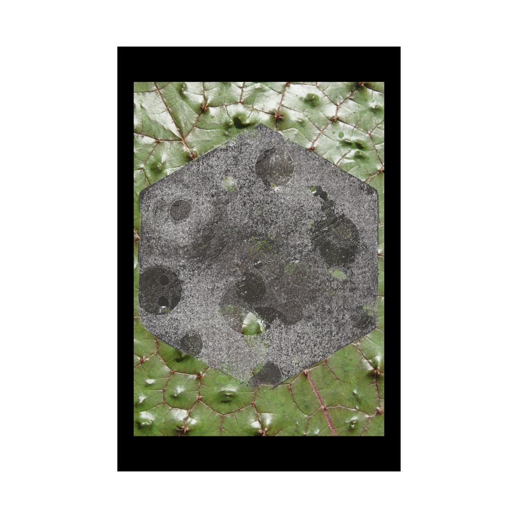 Botanical Moon Hex Poster — Matte Vertical Nature Art Print