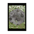 Botanical Moon Hex Poster — Matte Vertical Nature Art Print