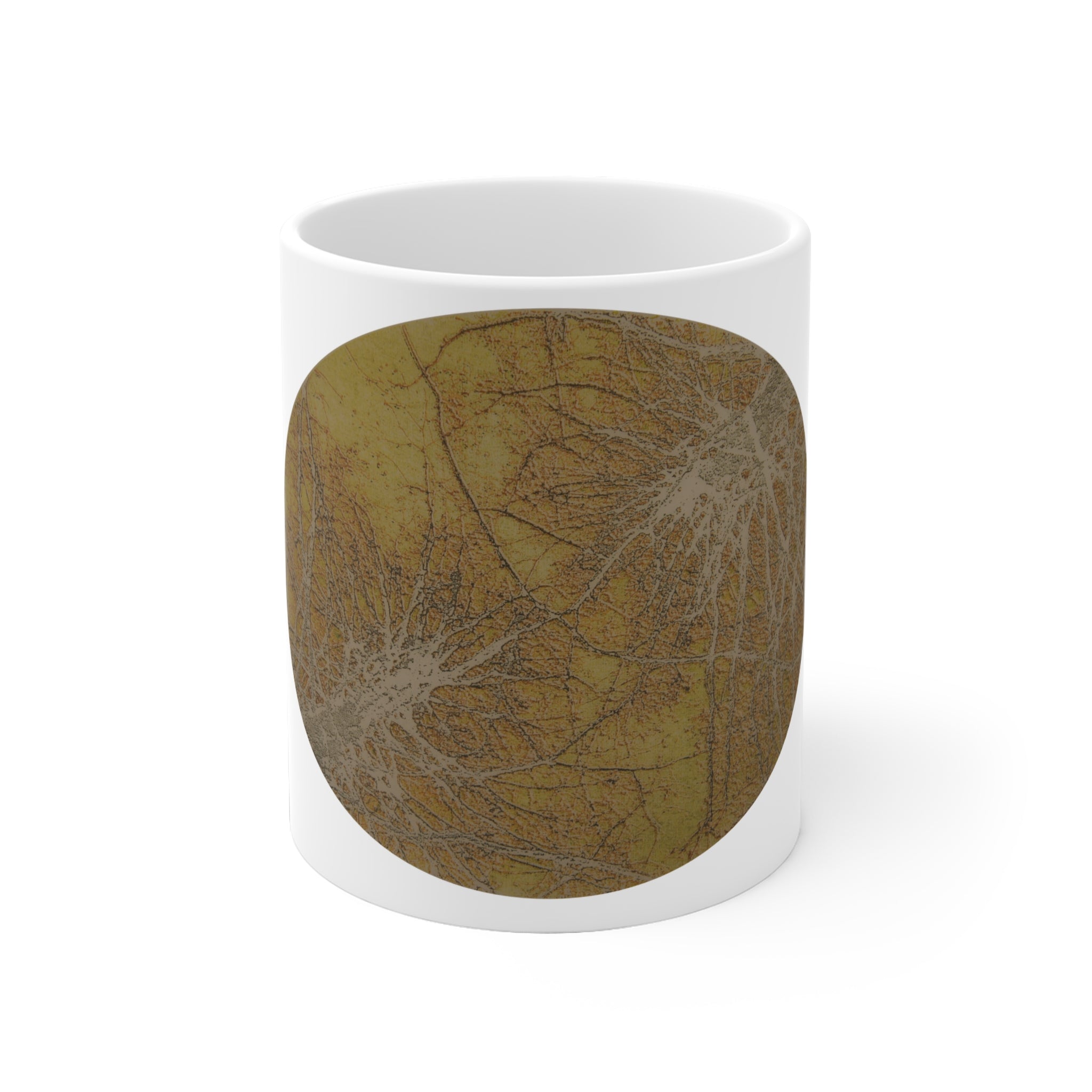 Rustic Spiderweb Ceramic Mug — Vintage Autumn Nature Coffee Cup - no 44