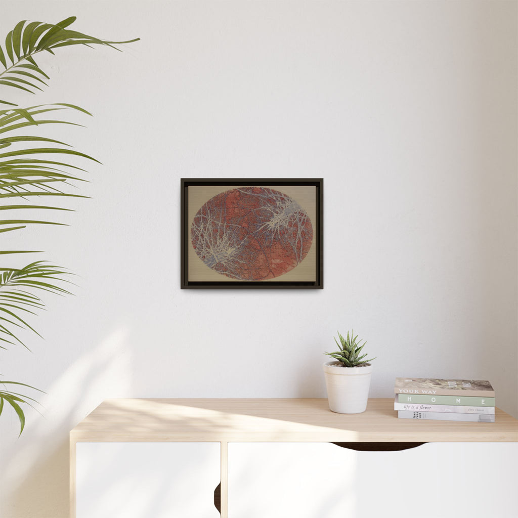 Abstract Botanical Circle Matte Canvas Framed Art — Multi‑Color - no 49