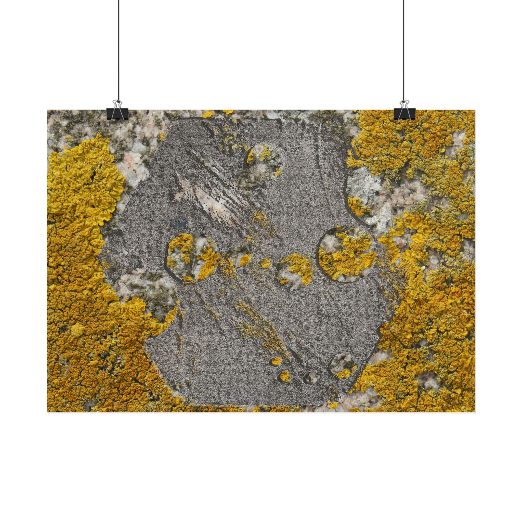 Poster met korstmosstructuur — Muurdecoratie met geel mos (horizontaal) 