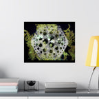 Abstract Green Bubble Art Poster — Matte Horizontal Wall Print