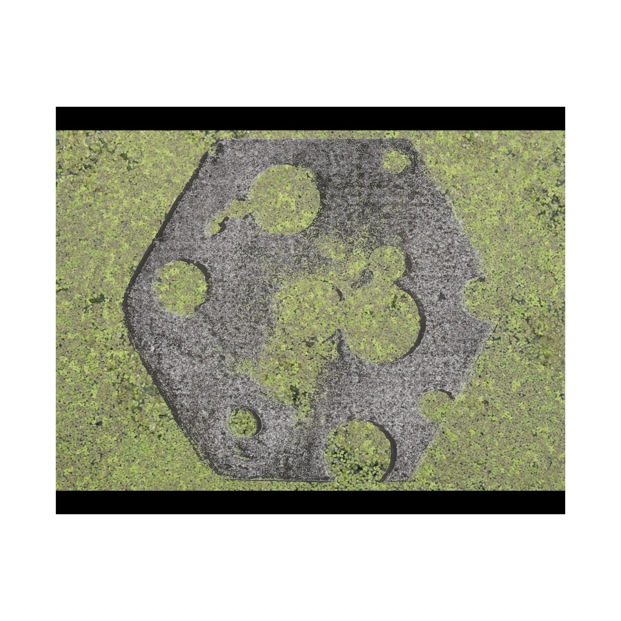 Matte horizontale poster met mosbegroeide maankrater — Botanisch groene maanwanddecoratie 