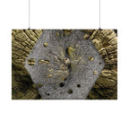 Weathered Tree Cross-Section Poster | Matte Horizontal Wall Art