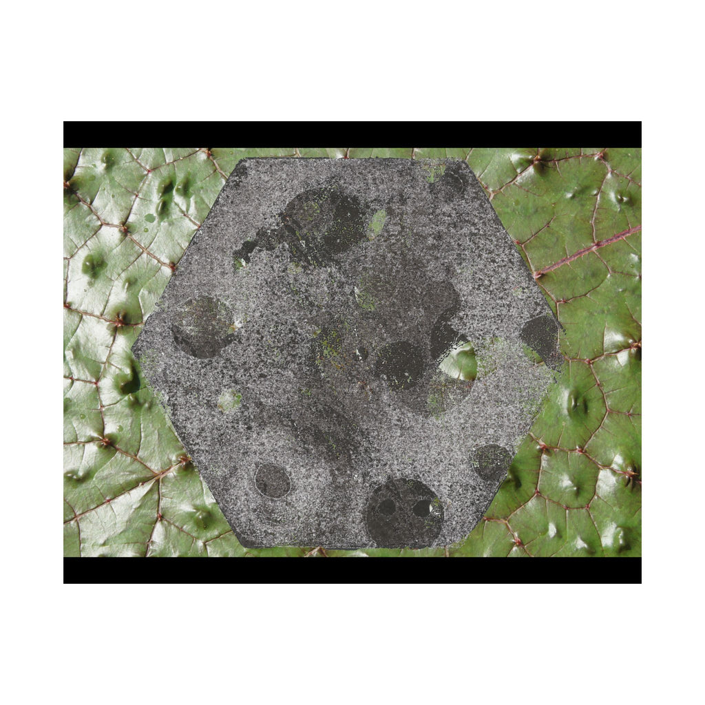 Botanical Hex Abstract Matte Poster — Green Leaf Texture Horizontal Wall Art