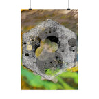 Abstracte zeshoekige stenen poster — Muurdecoratie met botanische textuur 