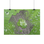 Dewy Leaf Macro Horizontal Posters | Nature Water Droplet Wall Art
