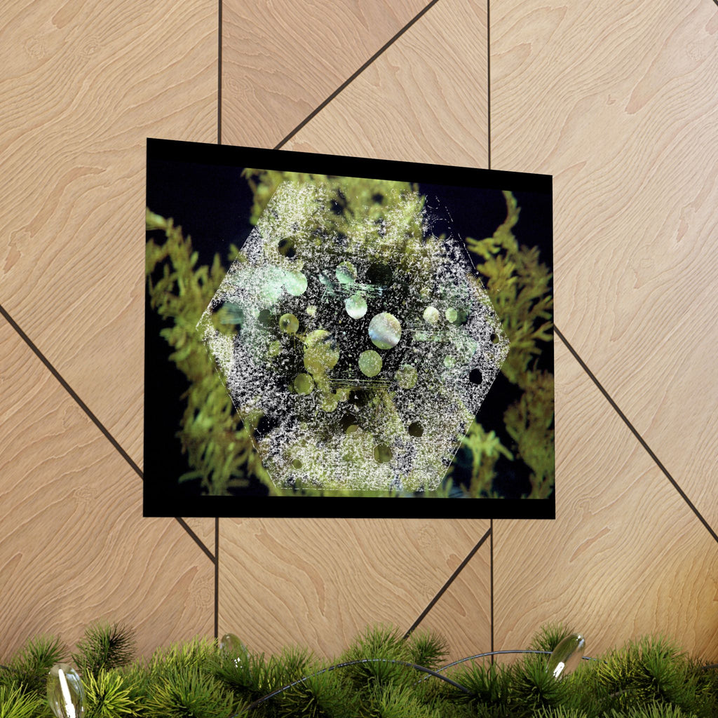 Abstract Green Hexagon Matte Poster — Botanical Geometric Wall Art