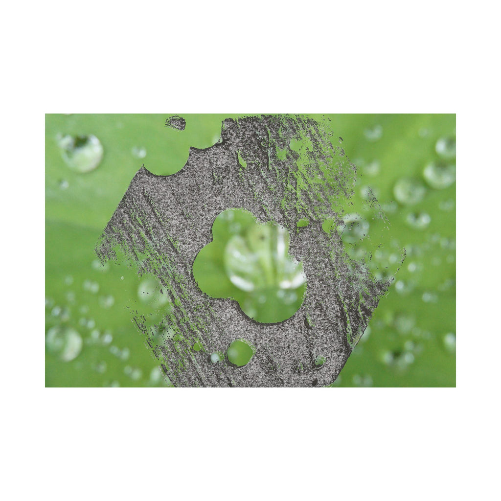 Dewy Leaf Macro Matte Horizontal Posters | Nature Water Droplet Wall Art