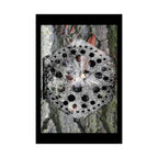 Abstracte natuurmandala poster — Zwart-wit paddenstoelen en boomschorskunst (matte verticale poster) 