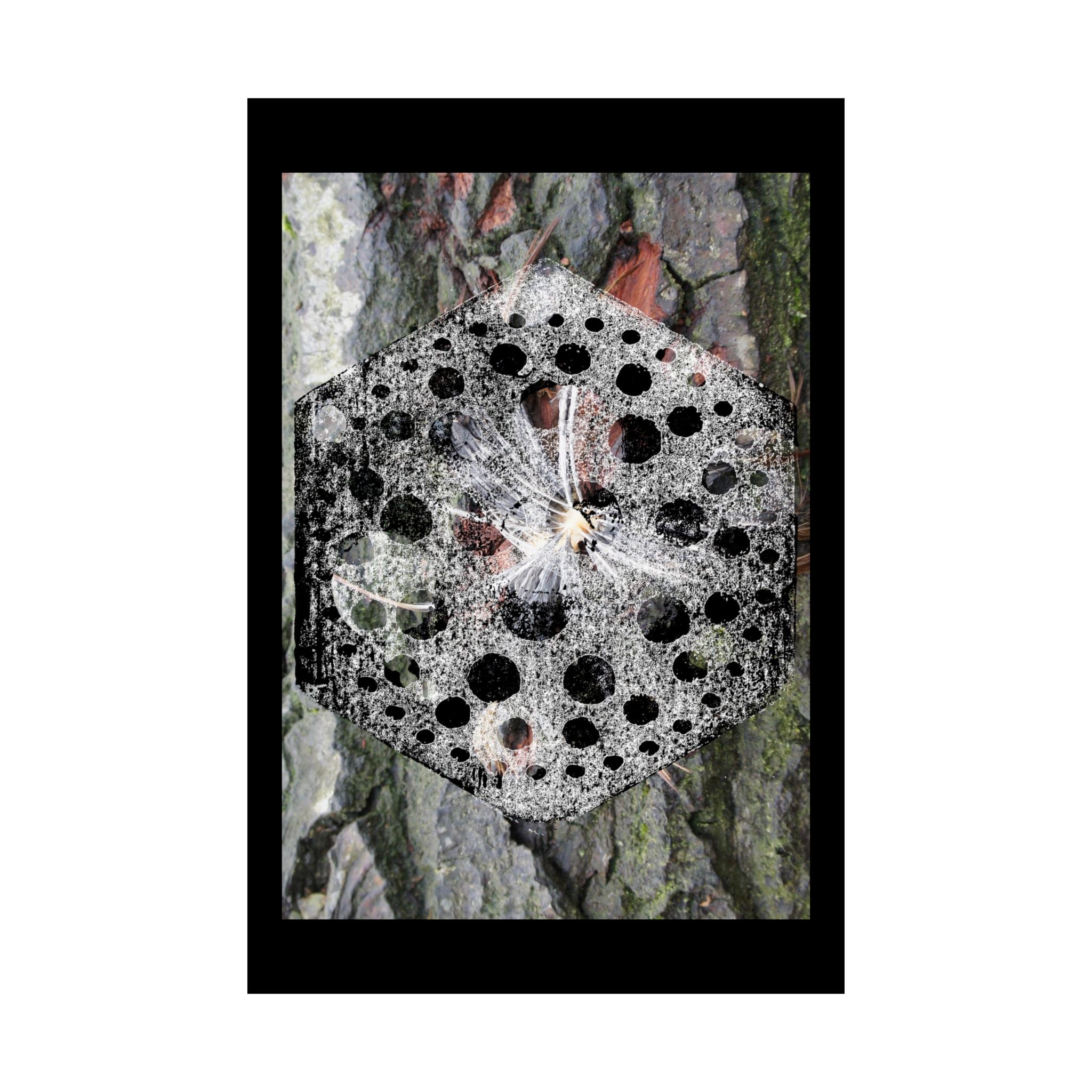 Abstract Nature Mandala Poster — Black & White Fungi Tree Bark Art (Matte Vertical Poster)