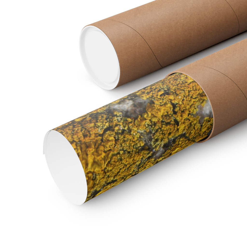 Lichen Texture Matte Poster — Yellow Moss Wall Art (Horizontal)