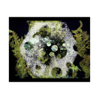 Abstract Green Bubble Matte Poster — Botanical Surreal Horizontal Wall Art