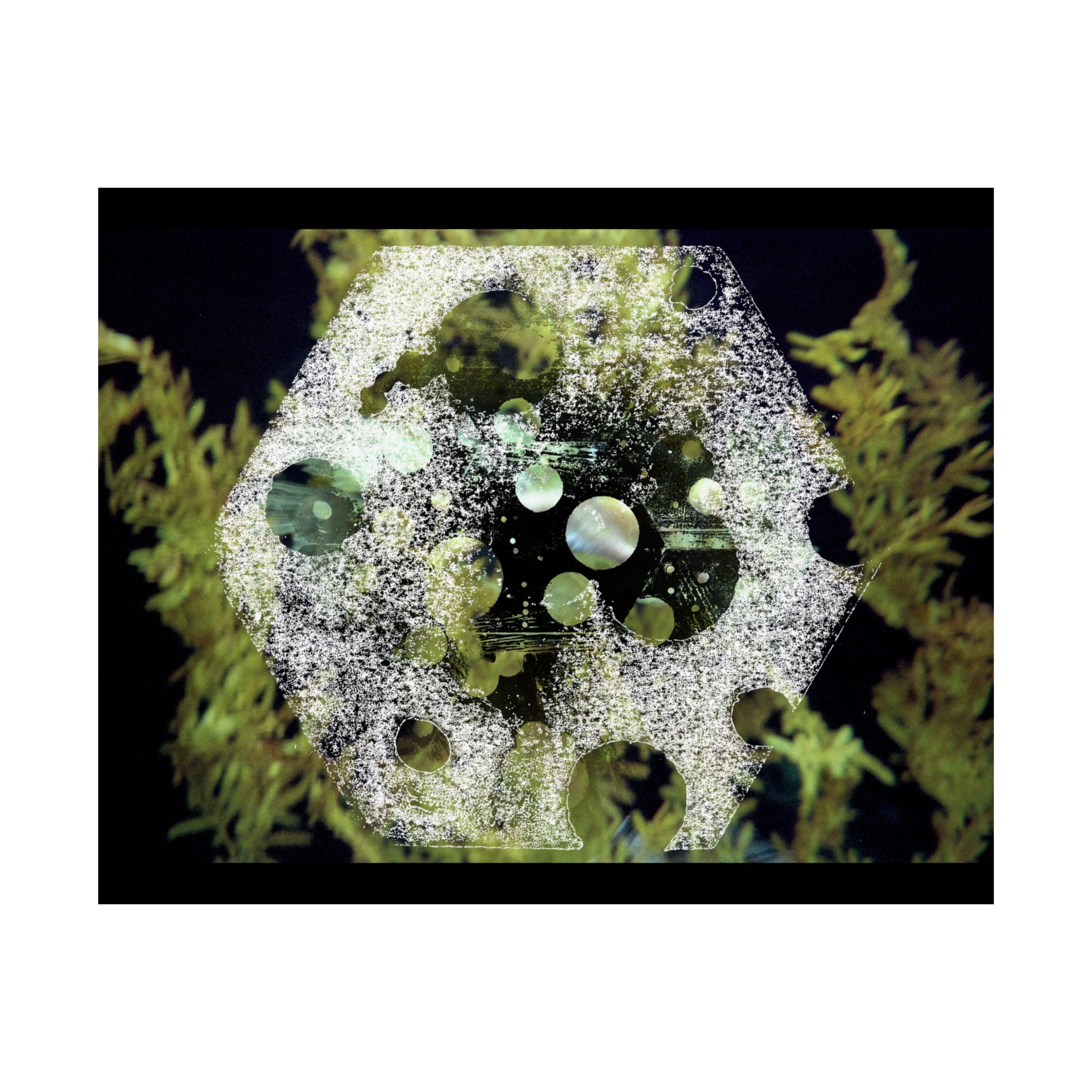 Abstract Green Bubble Matte Poster — Botanical Surreal Horizontal Wall Art