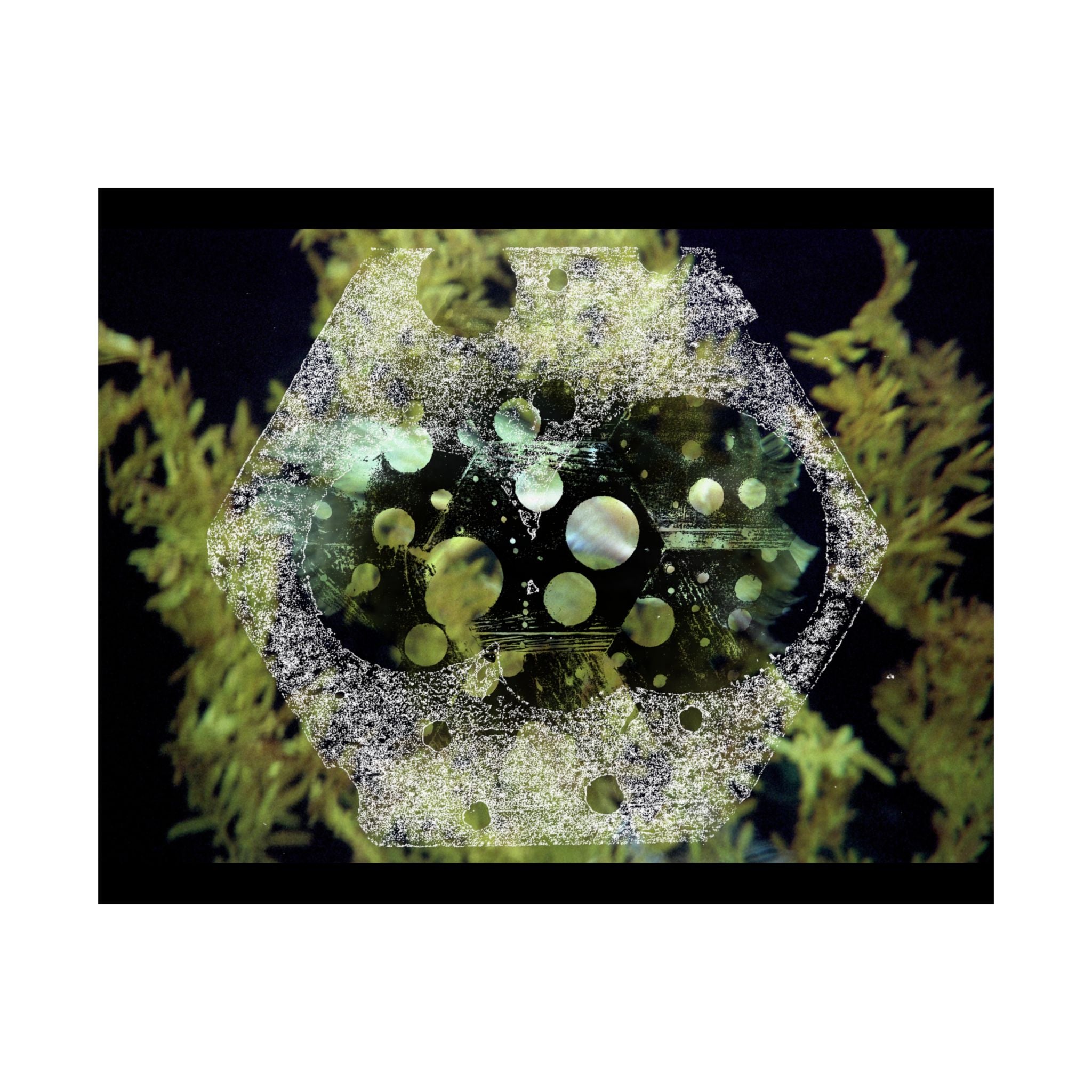 Abstract Green Bubbles Matte Poster — Horizontal Nature-Inspired Wall Art