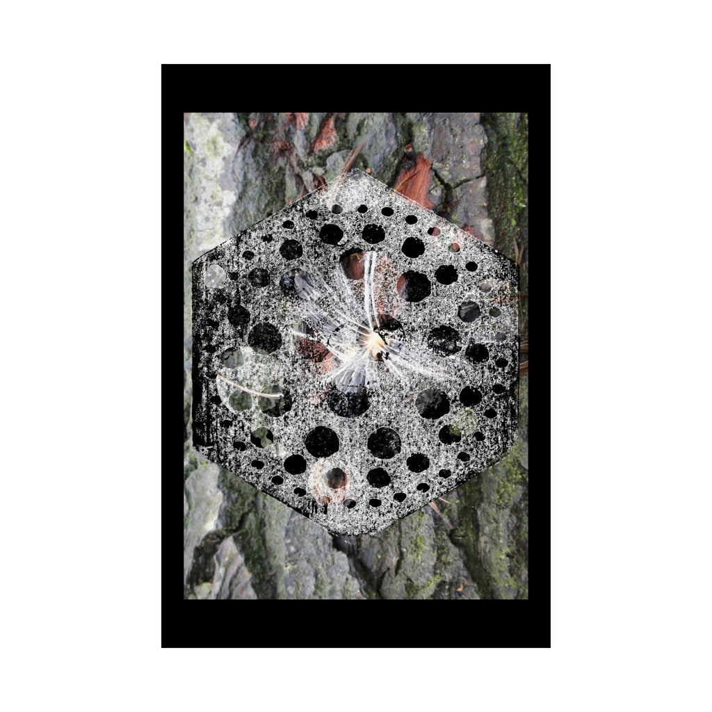 Abstracte natuurmandala poster — Zwart-wit paddenstoelen en boomschorskunst (matte verticale poster) 