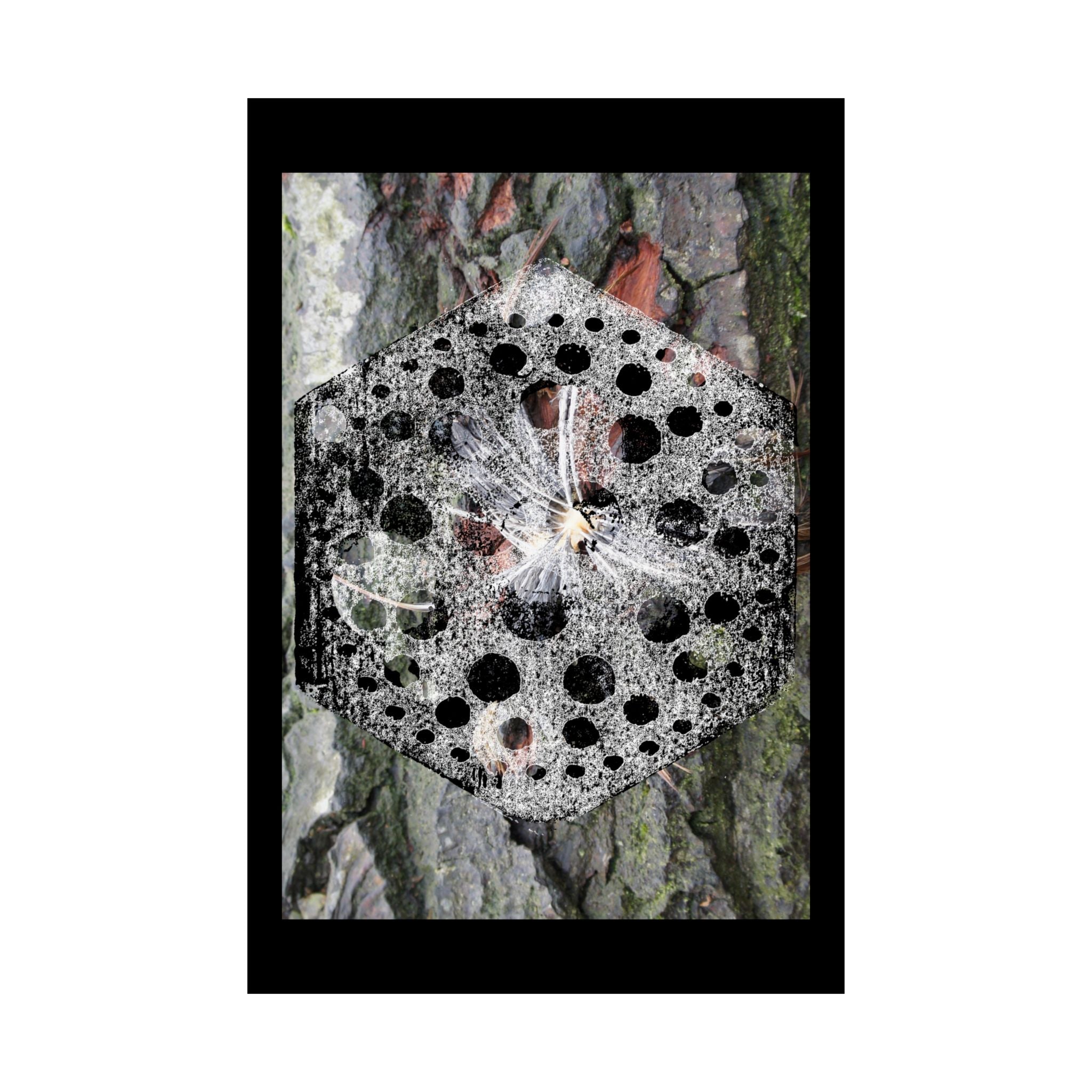 Abstracte natuurmandala poster — Zwart-wit paddenstoelen en boomschorskunst (matte verticale poster) 