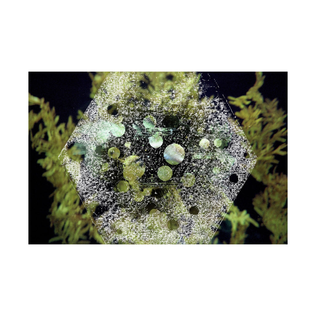 Abstract Green Hexagon Matte Poster — Botanical Geometric Wall Art