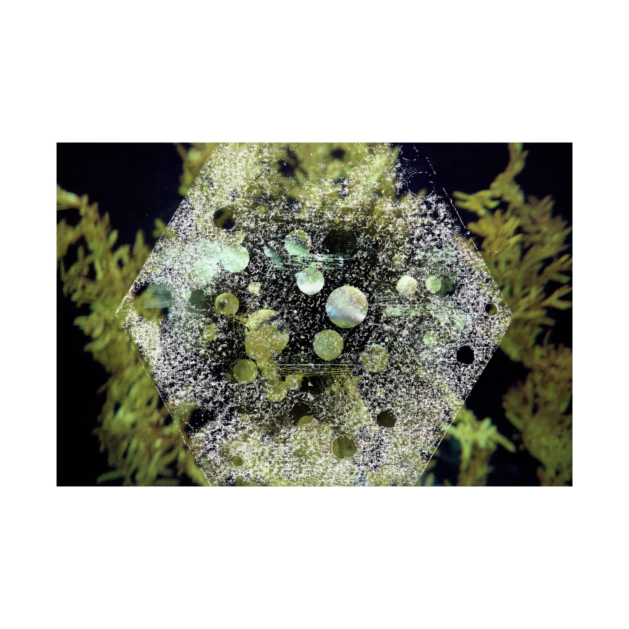 Abstract Green Hexagon Matte Poster — Botanical Geometric Wall Art