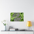Abstracte poster met groen mos en verweerd metaal (mat) — Botanische natuur muurdecoratie (horizontaal) 