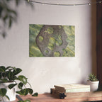 Abstract Seagrass & Stone Matte Horizontal Poster — Coastal Texture Wall Art