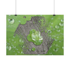 Dewy Leaf Macro Horizontal Posters | Nature Water Droplet Wall Art