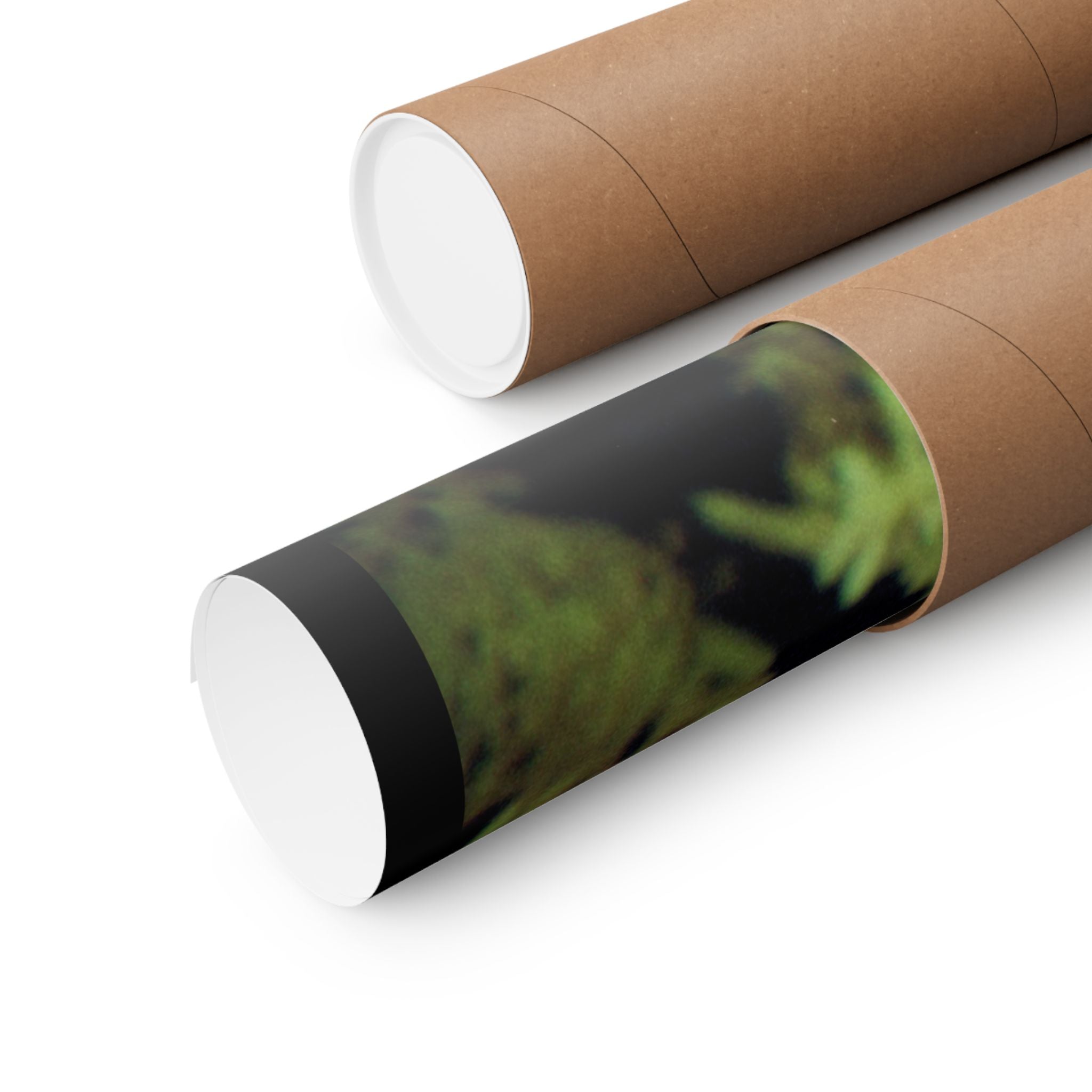 Abstract Botanical Moon Matte Horizontal Poster