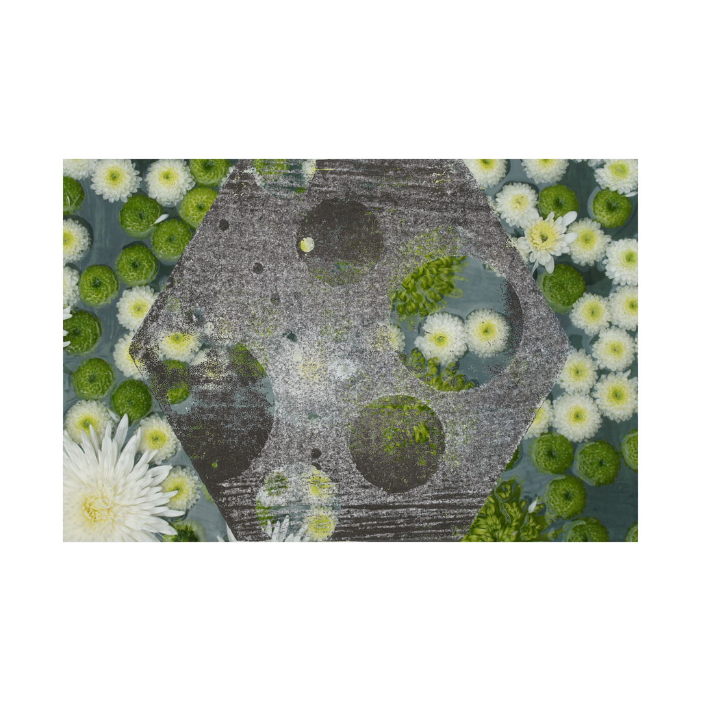 Daisy & Moss Floral Poster — Matte Horizontal Wall Art