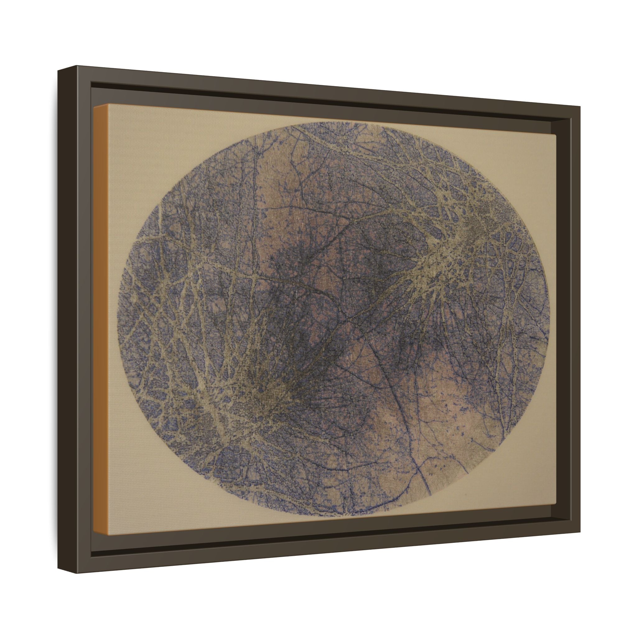 Abstract Botanical Circle Matte Canvas Framed Art - no 42
