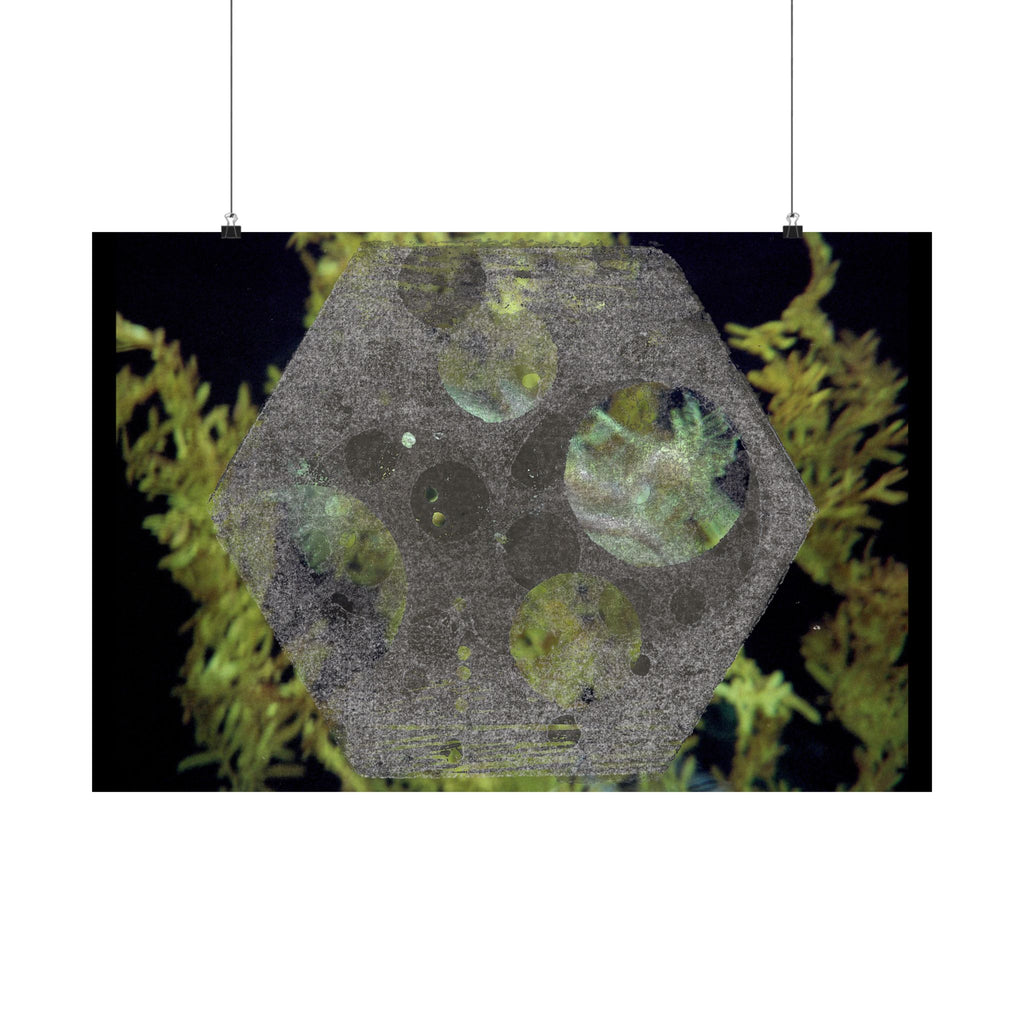 Abstract Botanical Moon Matte Horizontal Poster