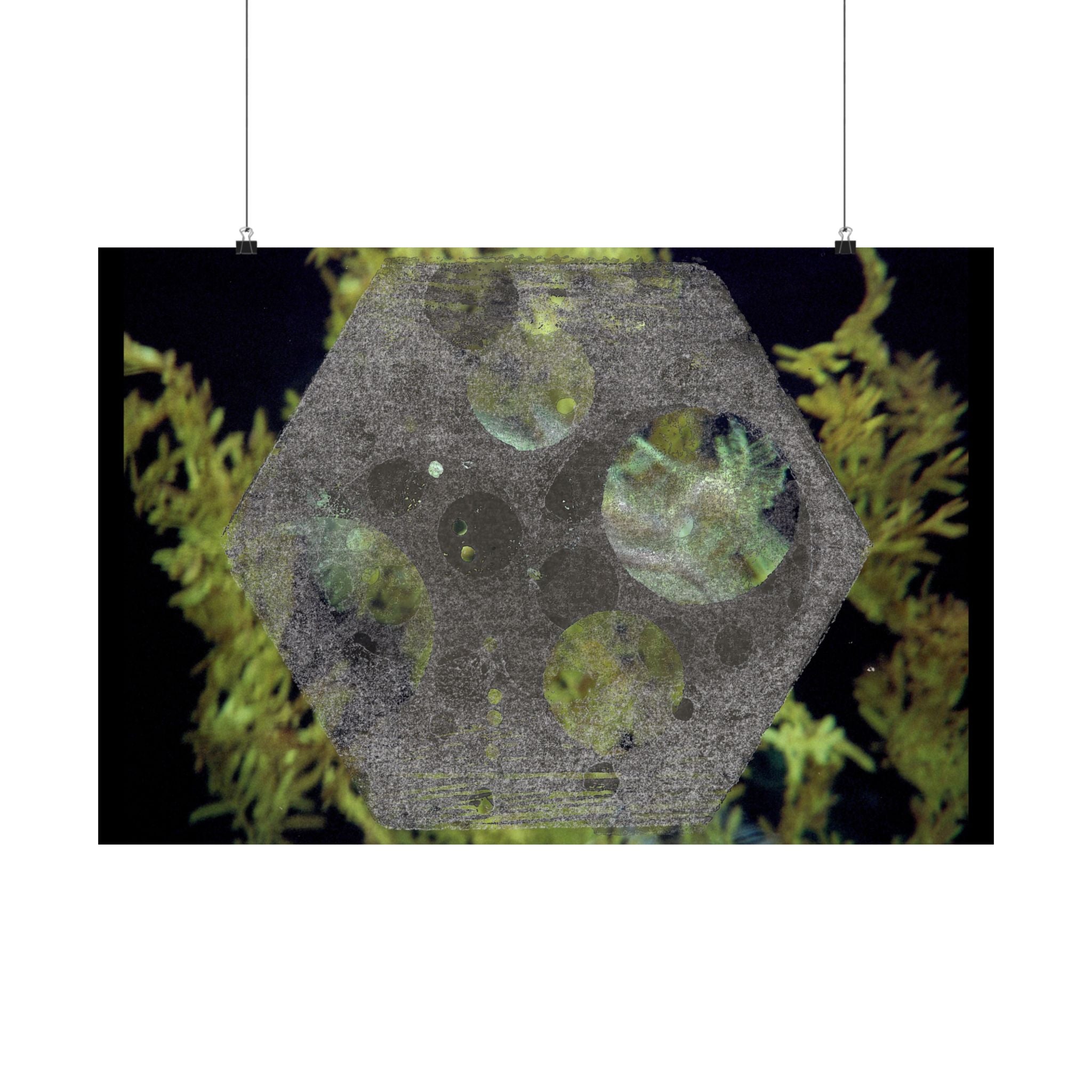 Abstract Botanical Moon Matte Horizontal Poster