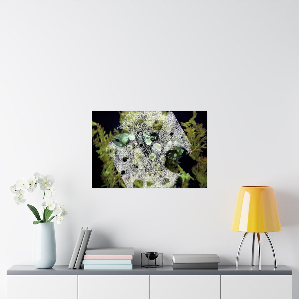 Abstract Nature Matte Horizontal Poster — Moss & Stone Texture Wall Art