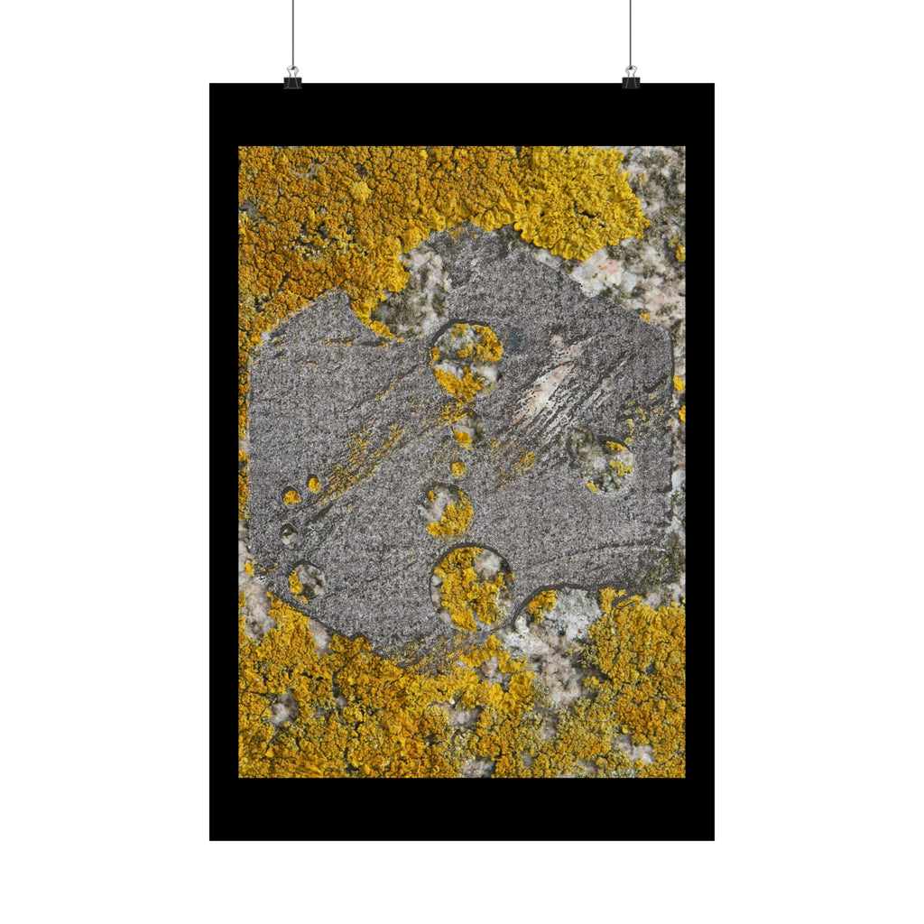 Lichen Texture Matte Poster — Yellow & Gray Nature Wall Art
