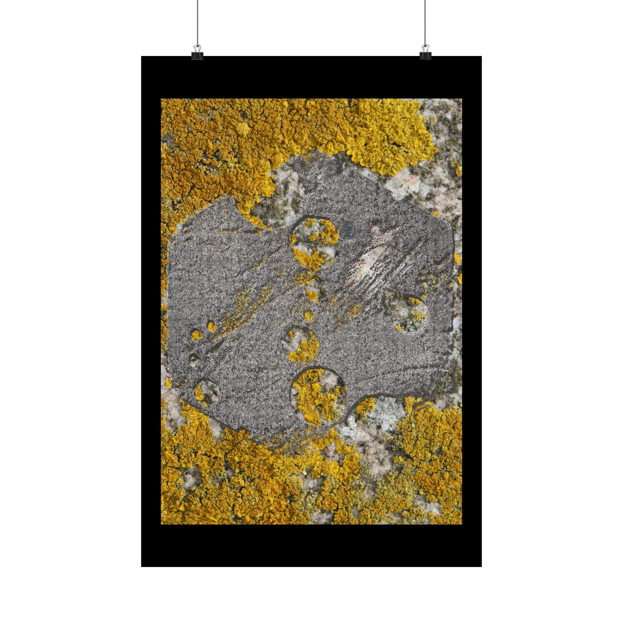 Lichen Texture Matte Poster — Yellow & Gray Nature Wall Art