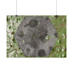 Botanical Hex Abstract Poster — Green Leaf Texture Horizontal Wall Art