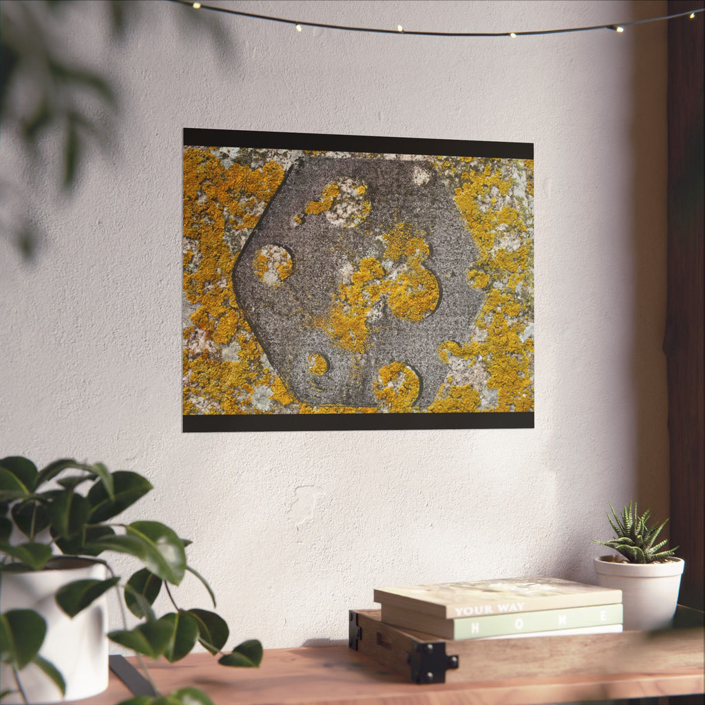 Abstracte poster met korstmosstructuur en matte afwerking — Geel &amp; Grijs Botanische Muurdecoratie 