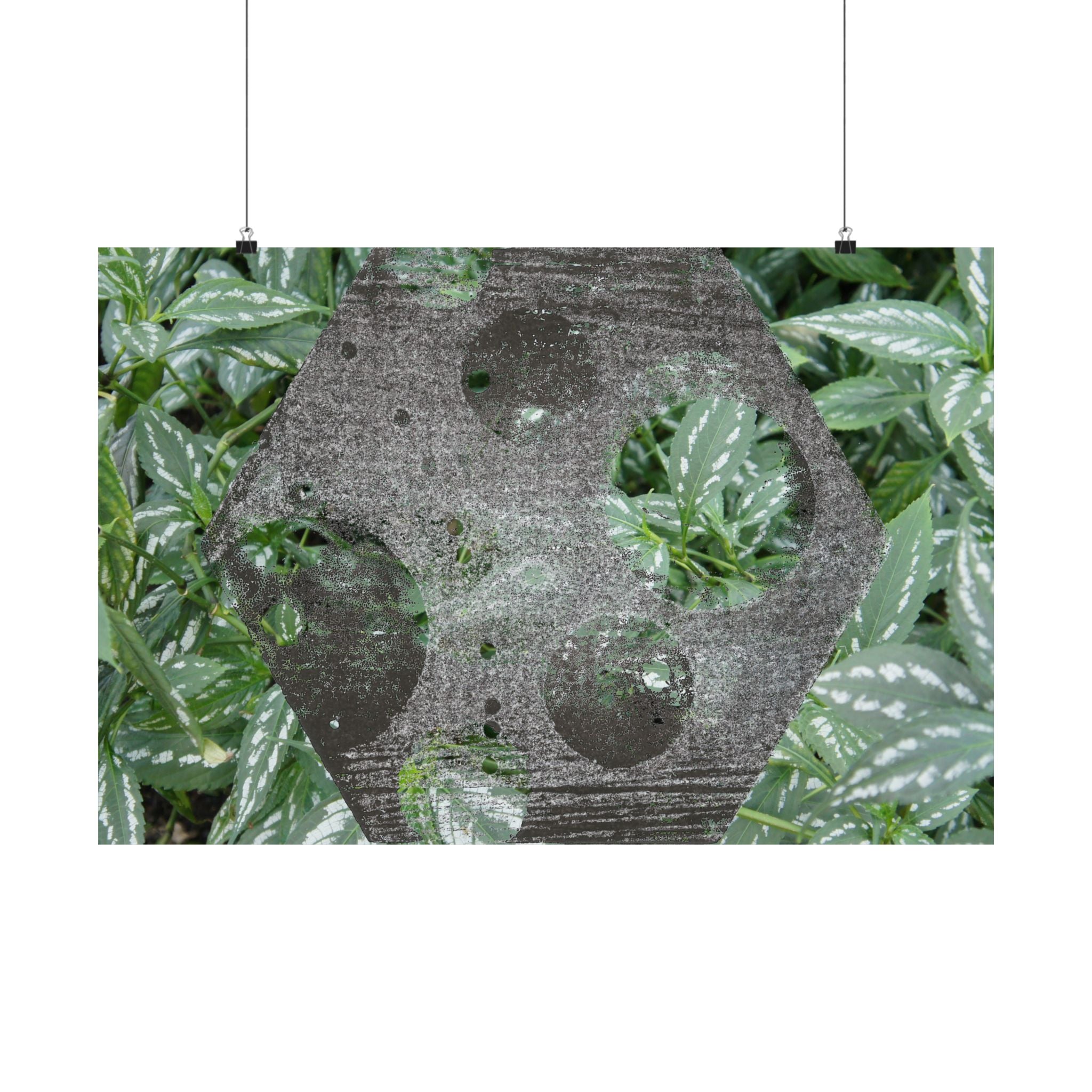 Botanical Hexagon Print Poster — Green Leaf Matte Horizontal Wall Art