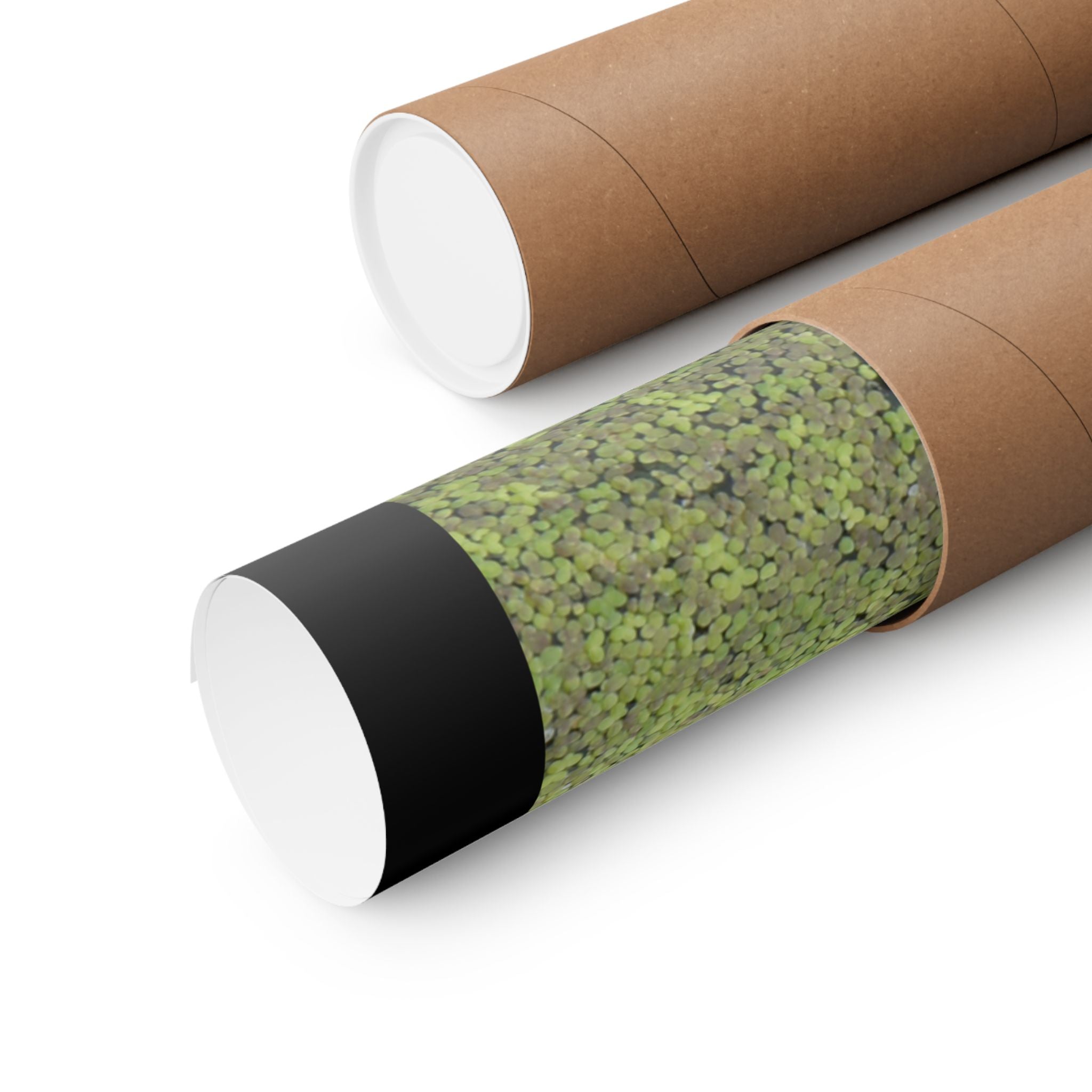 Mossy Stone Crest Poster — Matte Vertical Wall Art