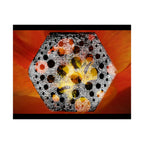 Abstract Hexagon Floral Matte Poster — Bold Orange Modern Wall Art