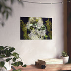 Abstract Green Algae Matte Poster — Botanical Ocean Wall Art (Horizontal)