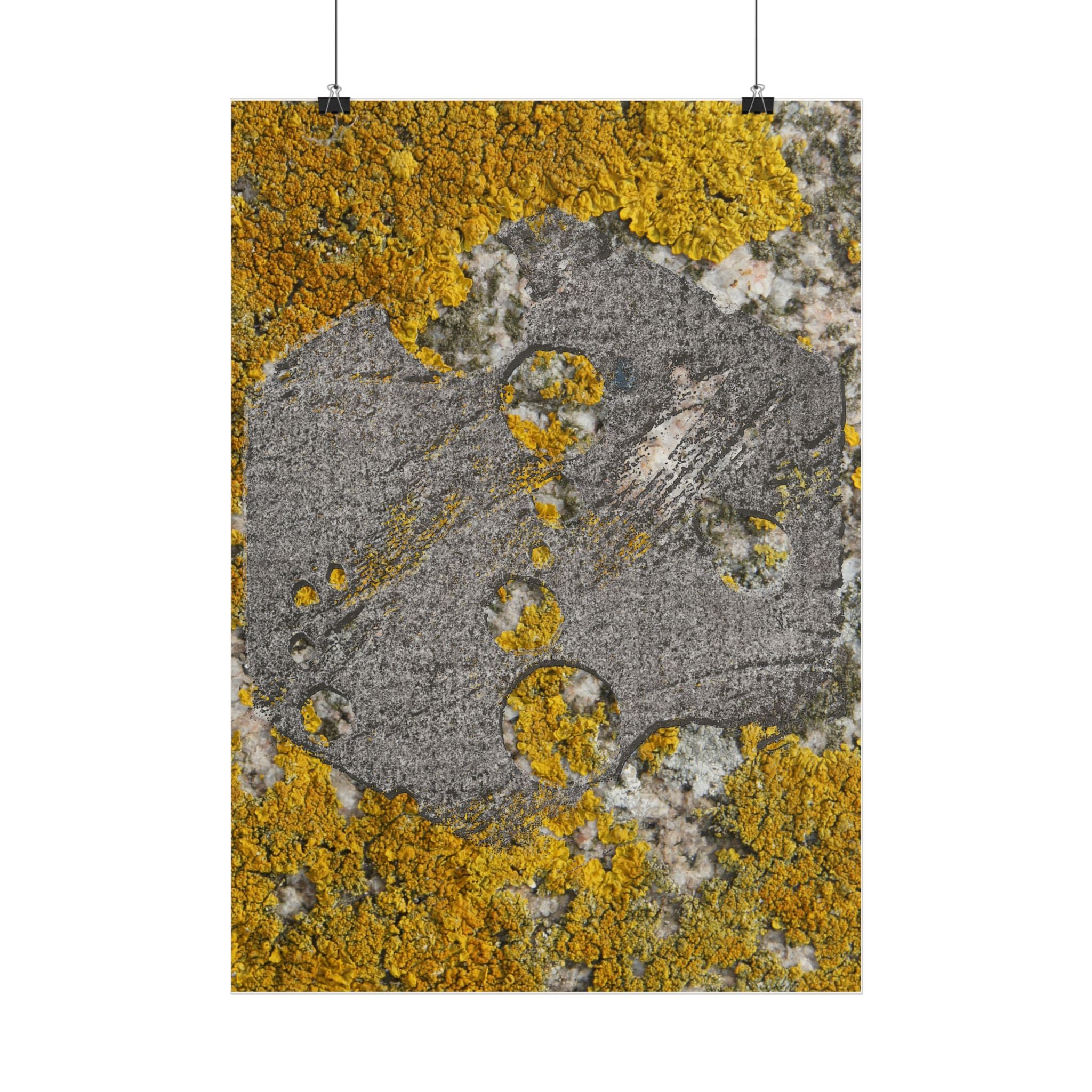 Lichen Texture Poster — Yellow & Gray Nature Wall Art