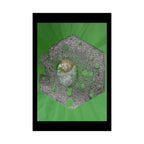 Hexagon Moss Orb Poster | Matte Vertical Botanical Wall Art