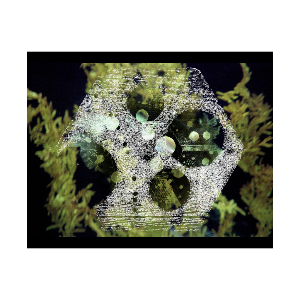 Abstracte poster met groen koraalrif, matte afwerking — Horizontale wanddecoratie geïnspireerd op de oceaan 